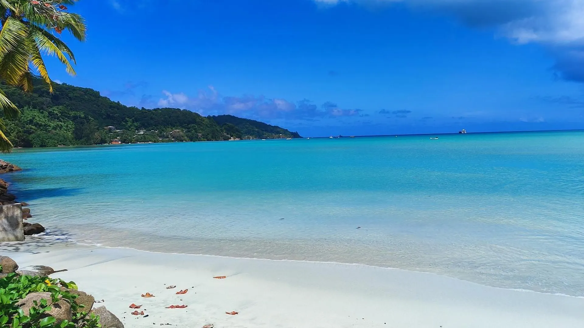Reve Tropical Chambres D'Hotes Anse a La Mouche Seychelles